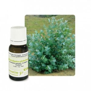 PRANARÔM HUILE ESSENTIELLE BIO EUCALYPTUS GLOBULEUX 10ML