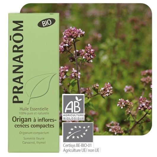 Pranarom hect bio origan inflorescences - 10ml