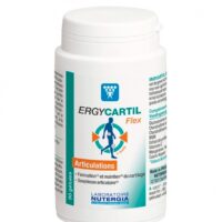 ERGYCARTIL FLEX 90 GELULES NUTERGIA