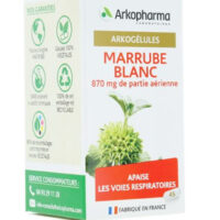 Arkogélules échinacée Bio 45 gélules