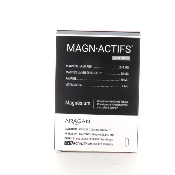 SYNACTIFS MAGNACTIFS GELUL 60