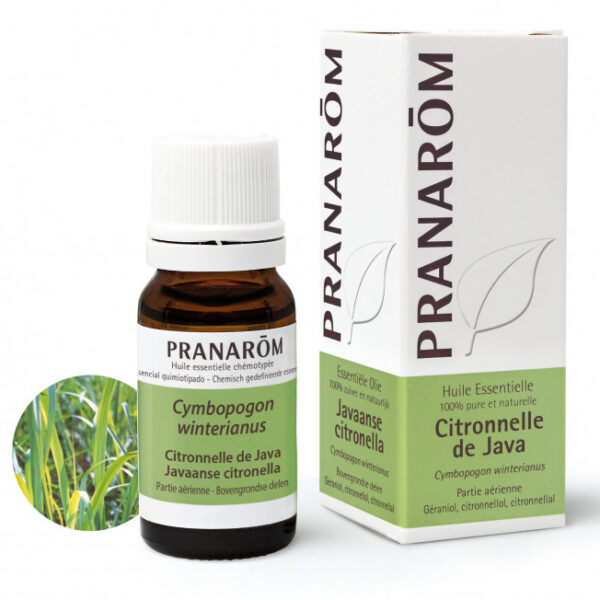Pranarom - Citronnelle de Java - 10 ml