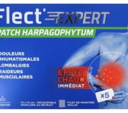 FLECT' EXPERT Patch Harpagophytum 5 Patchs