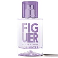 SOLINOTES Eau de parfum Figuier - 50ML