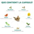 Digestic 60 Gélules - Formule Naturelle que cotient la capsule