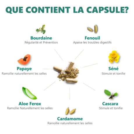 Digestic 60 Gélules - Formule Naturelle que cotient la capsule