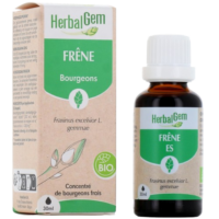 HerbalGem Frêne Bio 30 ml