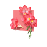 Solinotes Eau de Parfum Tonka 15ml