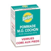 Pommade Mo Cochon Efficace 10g - Traitement Verrues et Cors