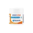 Nutergia Ergycébé 30 Gélules