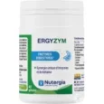 Ergyzym Nutergia Fonctionnement Digestif 40 gélules