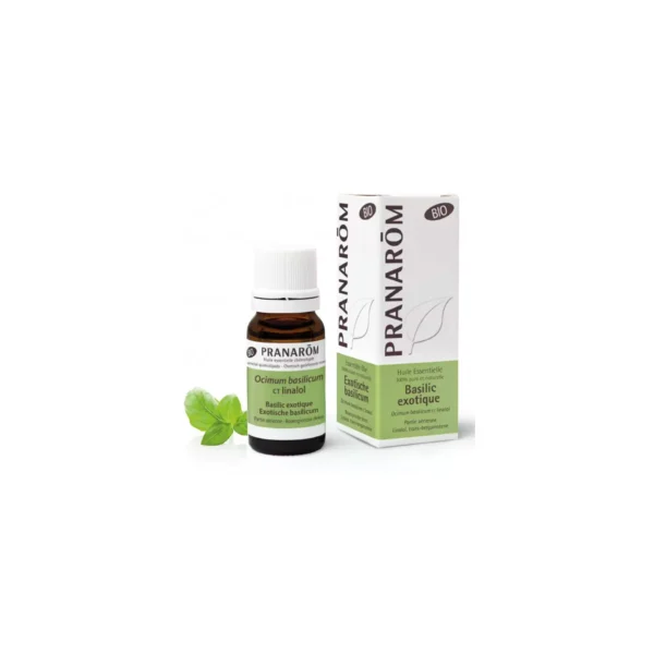 pranarom-huile-essentielle-basilic-exotique-bio-10ml PRANAROM H E BASIL LIN B 10ML1 – Image 1