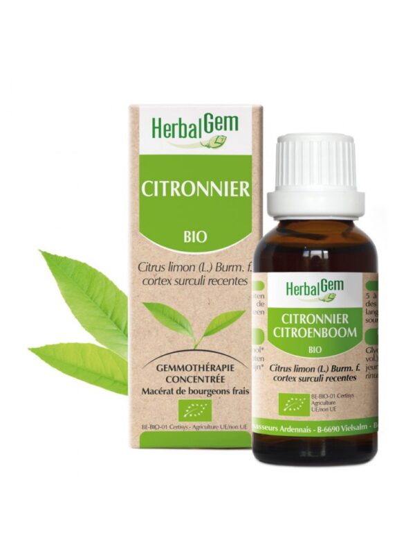citronnier-bourgeon-bio-circulation-30-ml-herbalgem Citronnier bourgeon Bio - Circulation 30 ml - Herbalgem – Image 1