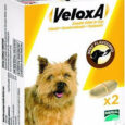 Veloxa Vermifuge Chien Goût Boeuf