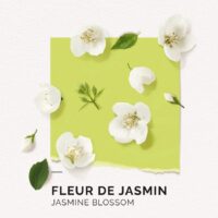 Solinotes Eau de Parfum Fleur de Jasmin 15ml