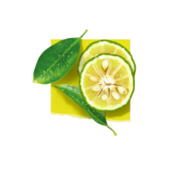 Solinotes Eau de Parfum Yuzu 15ml