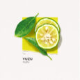 Solinotes Eau de Parfum Yuzu 15ml1