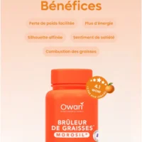OWARI Brûleur de Graisses Morosil 60 Gélules Végétales