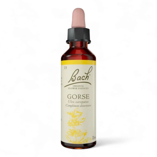 bach-original-fleur-de-bach-n-13-gorse-ajonc-20ml Bach Original - Fleur de Bach n°13 Gorse (Ajonc) - 20ml – Image 1