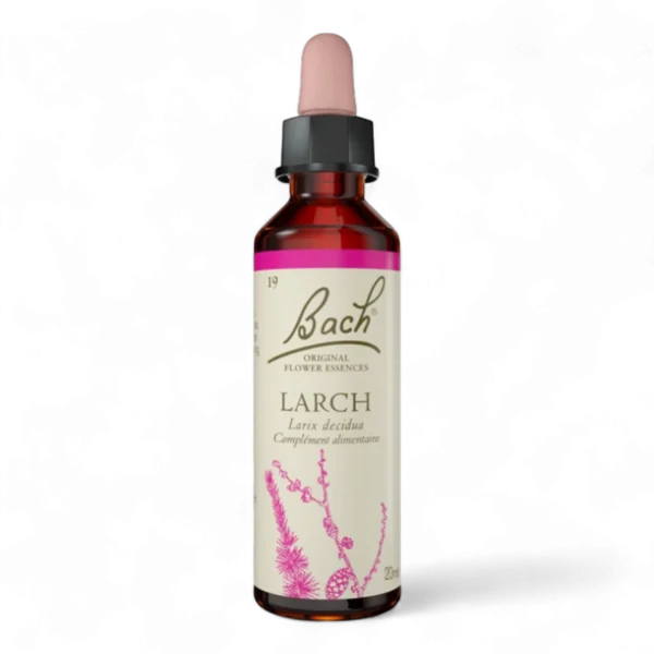 Fleur de Bach Bach Original - Fleur de Bach n°19 Larch (Mélèze) - 20ml - Élixir floral original du Dr Bach