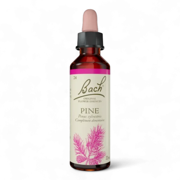 Fleur de Bach Bach Original - Fleur de Bach n°24 Pine (Pin Sylvestre) - 20ml - Élixir floral original du Dr Bach