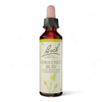 Fleur de Bach Bach Original - Fleur de Bach n°7 Chestnut Bud (Bourgeon de Marronnier) - 20ml - Élixir floral original du Dr Bach