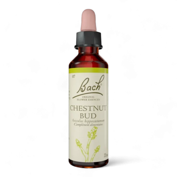 Fleur de Bach Bach Original - Fleur de Bach n°7 Chestnut Bud (Bourgeon de Marronnier) - 20ml - Élixir floral original du Dr Bach