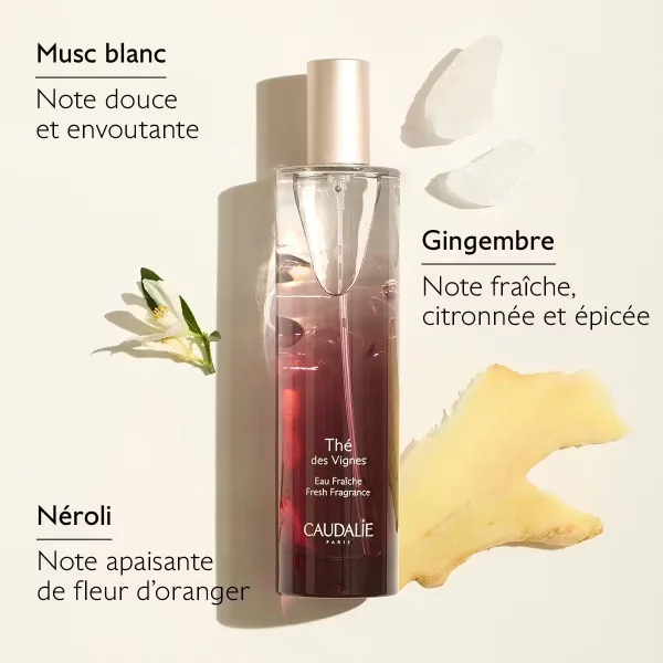 Caudalie Coffret Thé des Vignes-4 Caudalie Coffret Thé des Vignes : Eau Fraîche 50ml + Bougie & Gel Douche Offerts – Image 4