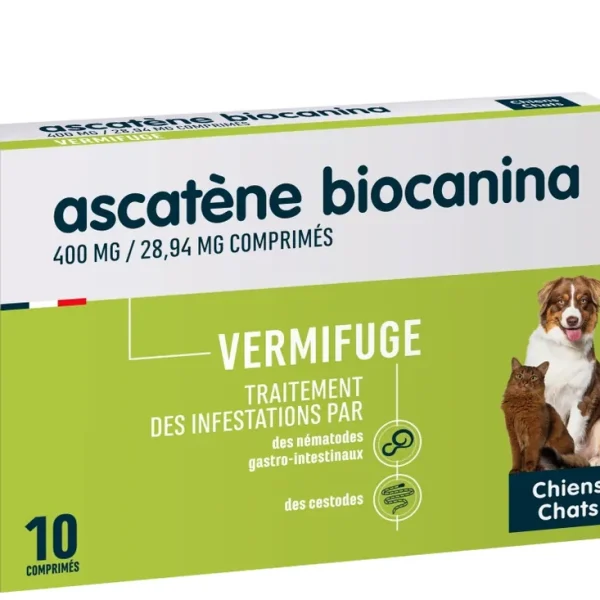 Ascatène (10 comprimés)