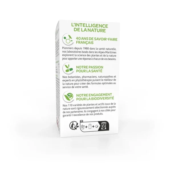 BIO Thé vert
