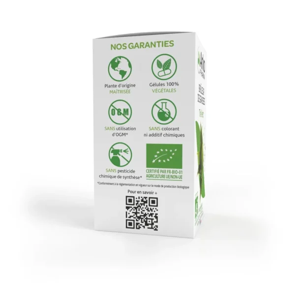 BIO Thé vert