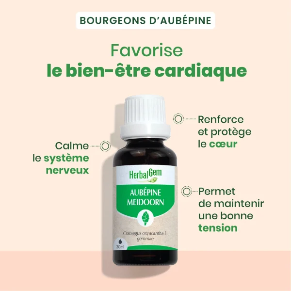 Bourgeon d'Aubépine Bio