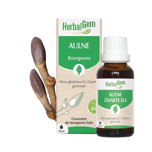 Bourgeon d'Aulne Bio - 30ml