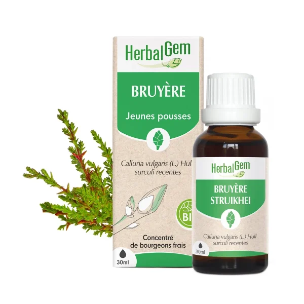 Bourgeon de Bruyère Bio - 30 ml