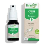 Bourgeon de cassis Bio - 15 ml