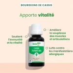Bourgeon de cassis Bio