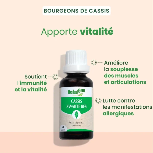 Bourgeon de cassis Bio