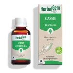Bourgeon de cassis Bio - 30 ml
