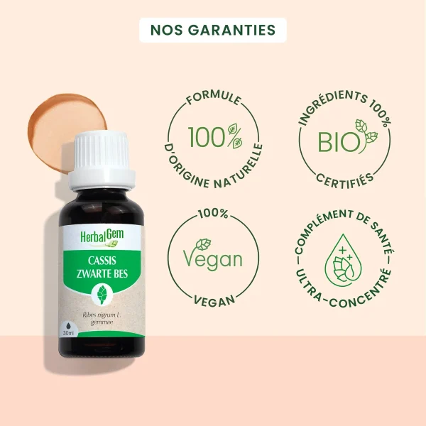 Bourgeon de cassis Bio