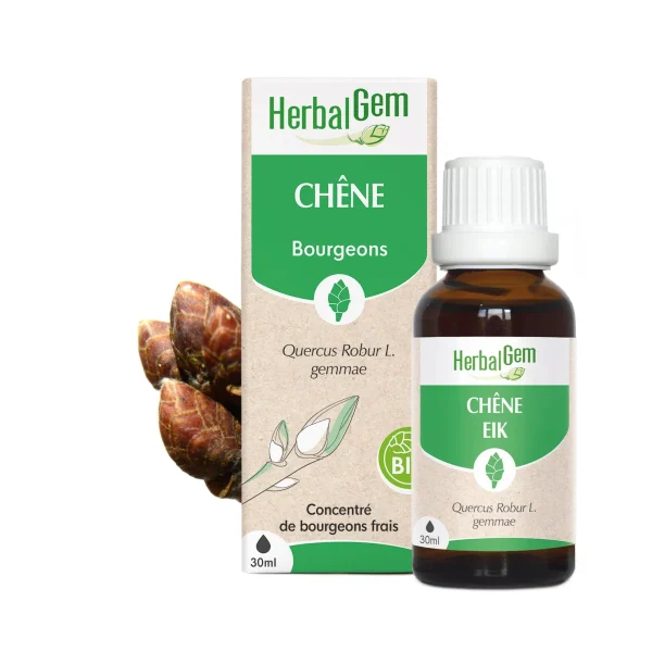 Bourgeon de Chêne Bio - 30ml