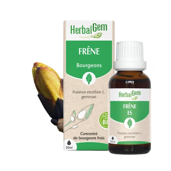 Bourgeon de Frêne Bio - 30ml