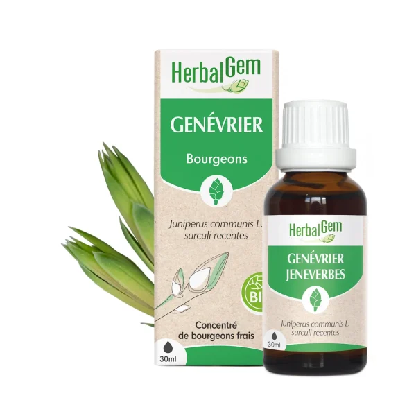 Bourgeon de Genévrier Bio - 30ml