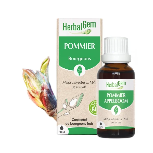 Bourgeon de Pommier Bio - 30ml