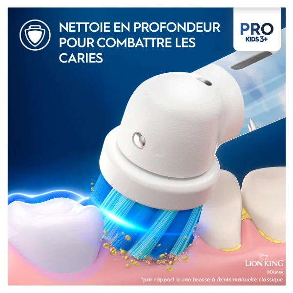 Brossettes Disney Le Roi Lion