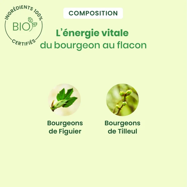 Complexe sommeil Noctigem - Image 4 Complexe sommeil Noctigem