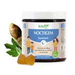 Complexe sommeil Noctigem - 60 gommes