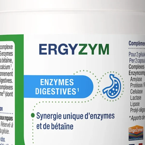 Enzymes digestives