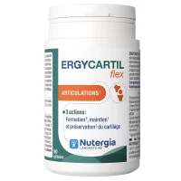 ERGYCARTIL Flex - 90 gélules