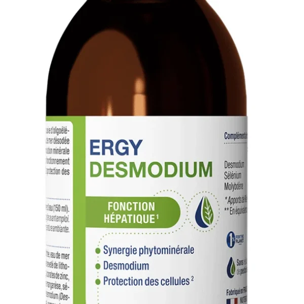 Ergydesmodium