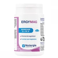 ERGYMAG - 90 gélules